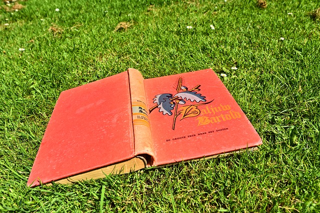 تعلم اللغة الهولندية مع الكلمات والنطق الصحيح